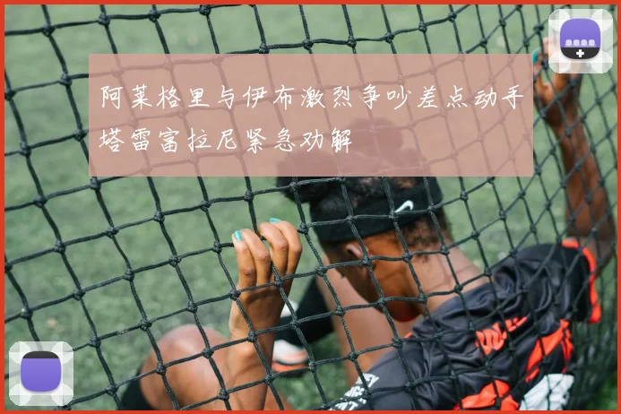 阿莱格里与伊布激烈争吵差点动手塔雷富拉尼紧急劝解
