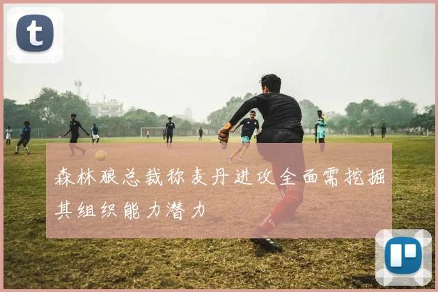 森林狼总裁称麦丹进攻全面需挖掘其组织能力潜力