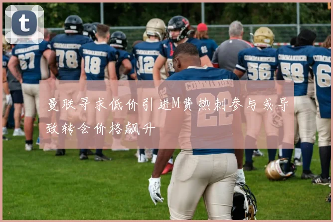 曼联寻求低价引进M费热刺参与或导致转会价格飙升
