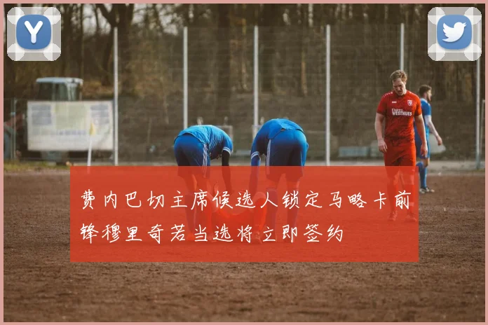 费内巴切主席候选人锁定马略卡前锋穆里奇若当选将立即签约
