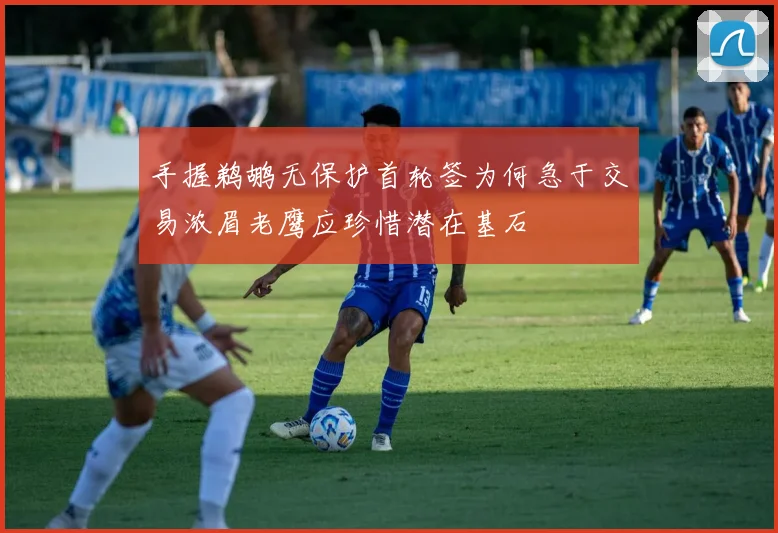 手握鹈鹕无保护首轮签为何急于交易浓眉老鹰应珍惜潜在基石